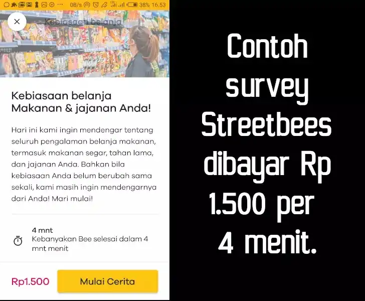 survey streetbees singkat