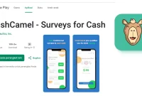 cashcamel