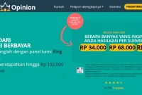 kingopinion