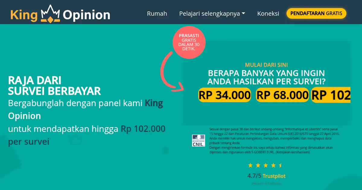 kingopinion