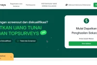 topsurveys