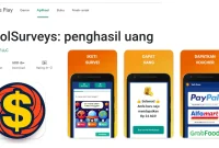 coolsurveys