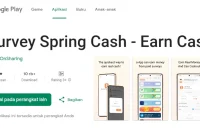 surveyspringcash
